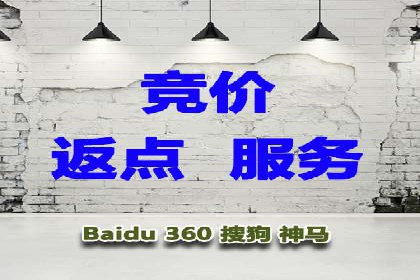 某某SEM团队成功提升网站流量与转化率的实战经验